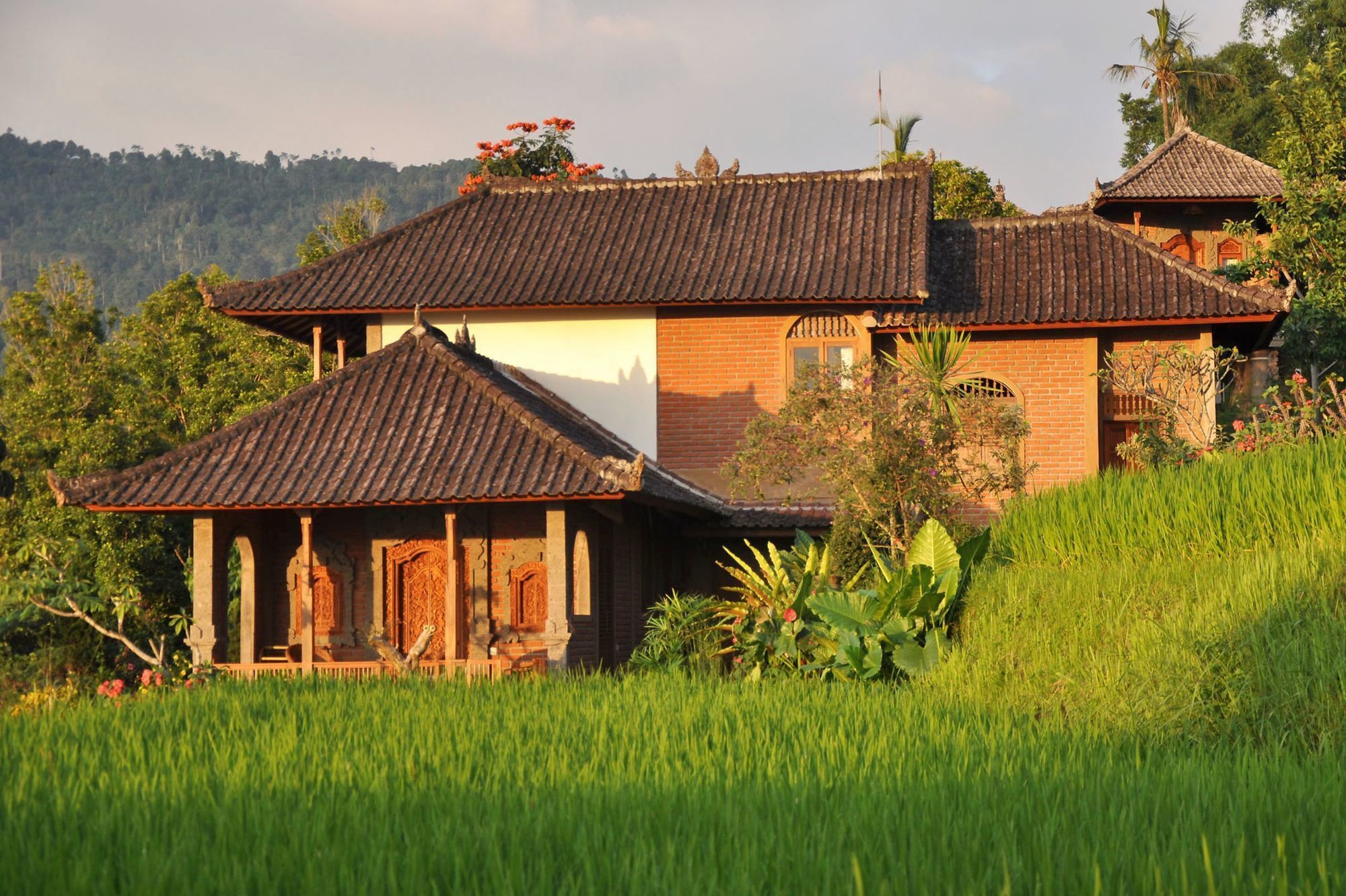 Puri Lumbung Cottages Gobleg  Exterior photo