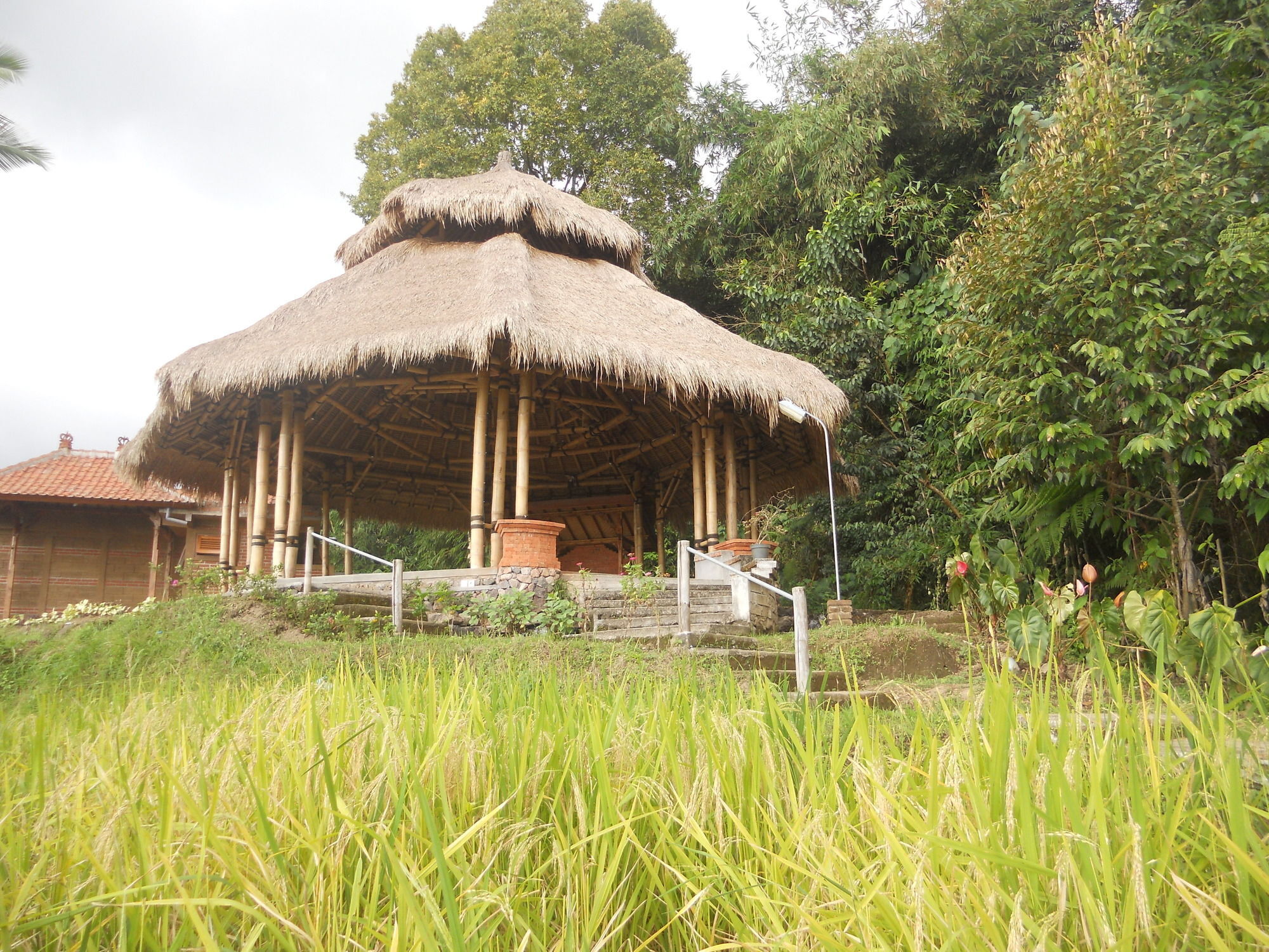 Puri Lumbung Cottages Gobleg  Exterior photo