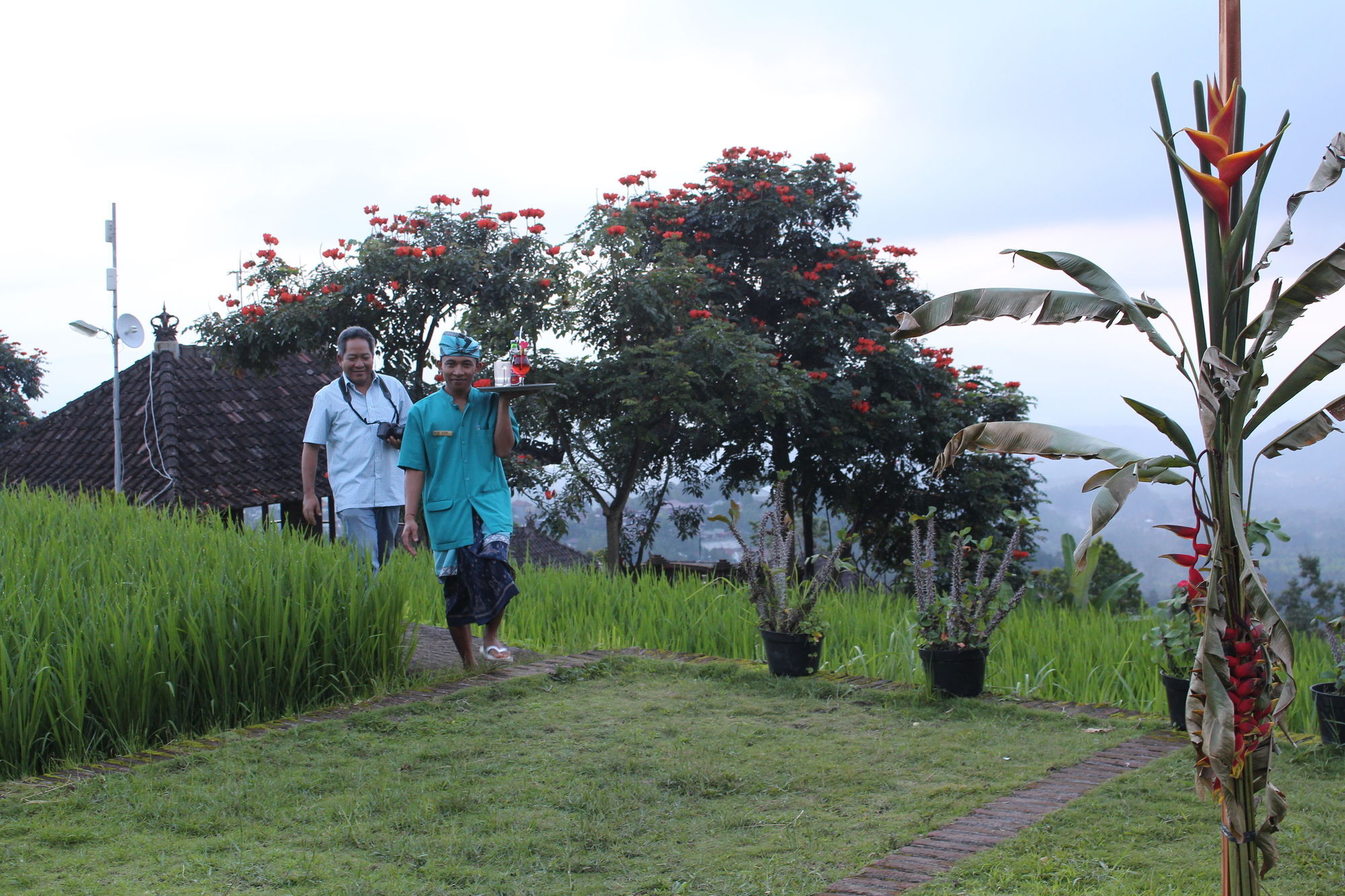 Puri Lumbung Cottages Gobleg  Exterior photo