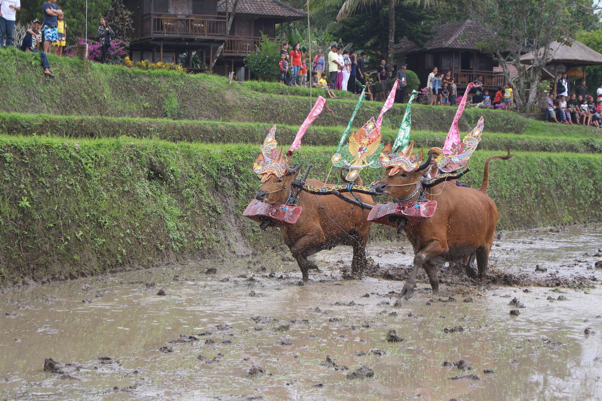 Puri Lumbung Cottages Gobleg  Exterior photo